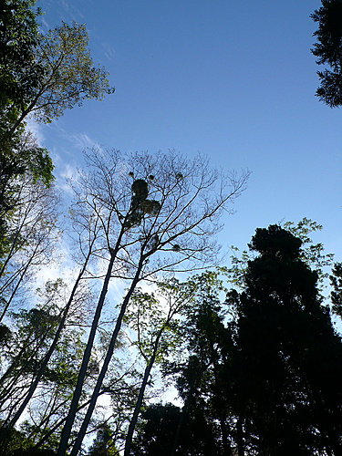 20080525-霞喀羅古道-Day1-1 67