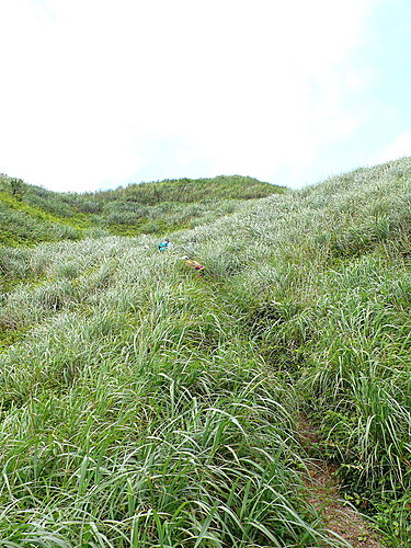 無耳茶壺山、半屏山、燦光寮山（二 ） 44