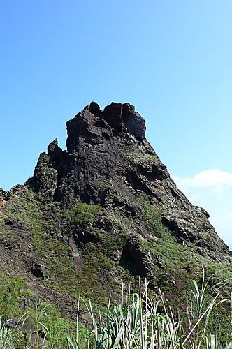 20080518-無耳茶壺山、半屏山、燦光寮山（一） 27