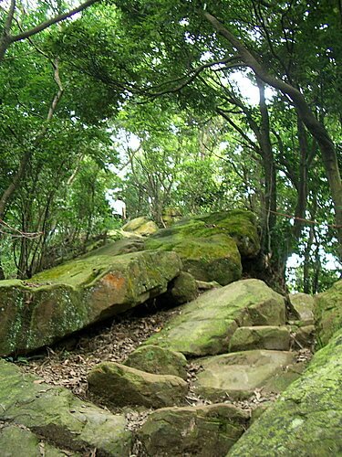 20060618-烘爐地爬山 （二） 9