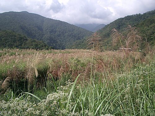 20051113-松羅步道 52